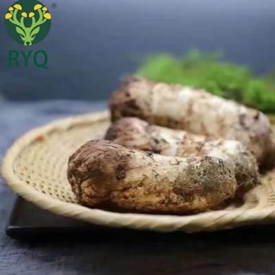 China 2022 Fresh New Arrival RYQ Matsutake Tricholoma Matsutake Chinese Shangri-La Tricholome Sprinkle 40g For Instant Mushroom Soup for sale