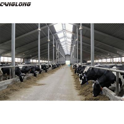 China Q235/Q345/Q355 design steel grade cattle farm house prefab steel cow milk farm building for sale