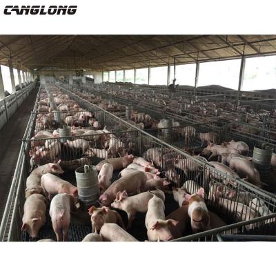 China Q235/Q345/Q355 Construction Grade Steel Structure Steel Structure Hog Shed for sale