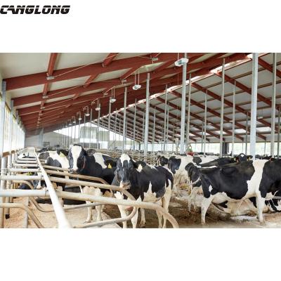 China Q235/Q345/Q355 grade steel lightweight steel frame quickly install steel structure prefab cow barns for sale