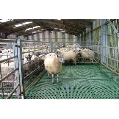 China Workshop China Low Cost Prefab Steel Structure Steel Structure Goat Farm Sheep Shed Steel Shed for sale