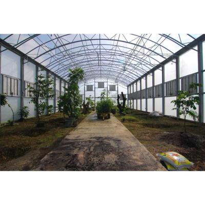 China Commerical Agricultural Steel Frame Herbs Garden Green Houses With Good Price for sale