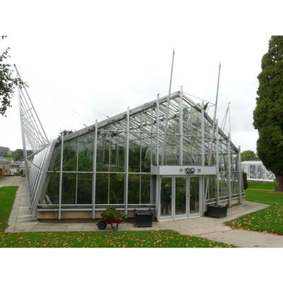 China Herbs Cheap Galvanized Agricultural Greenhouses For Mushroom Plantations for sale