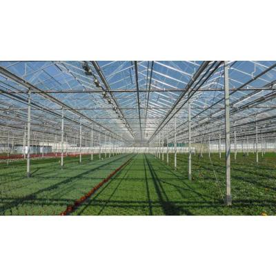 China Galvanized Glass Steel Frame Large Herbs Truss Agricultural Greenhouse for sale