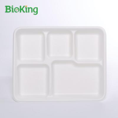 China BioKing Disposable Bagasse 5 Compartment Tray Disposable Biodegradable And Compostable Tableware for sale