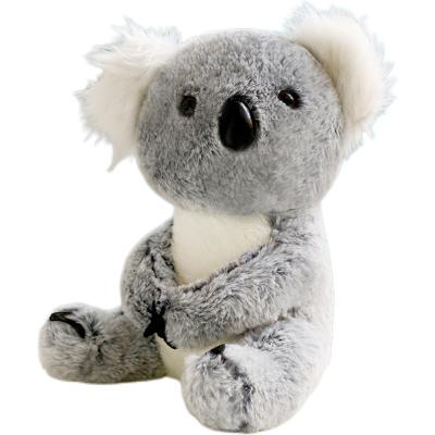 China Australian Plush Toy 28cm Mascot Phascolarctos Cinereus Doll Forest Animals National Treasure Koala Plush Toy for sale