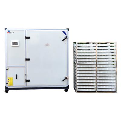 China Dairy Factory Hot Wind Betel Nut Dehydrator Machine, Areca Nut Drying Machine for sale