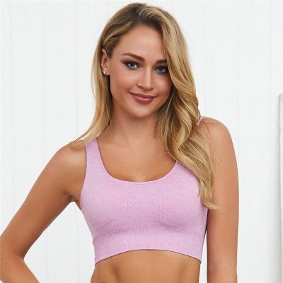 China Hot Selling Gym Fitness Yoga Tops Plain Breathable Women Seamless Sports Bra for sale