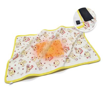 China Polyester Cartoon Mini Portable USB Wholesale Electric Heating Blanket For Homeuse for sale