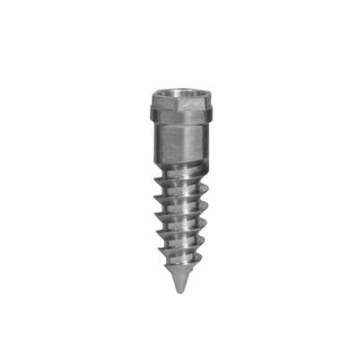 China High Precision Dental Implant CNC Lathe Metal Titanium Dental Implant Machining Parts for sale