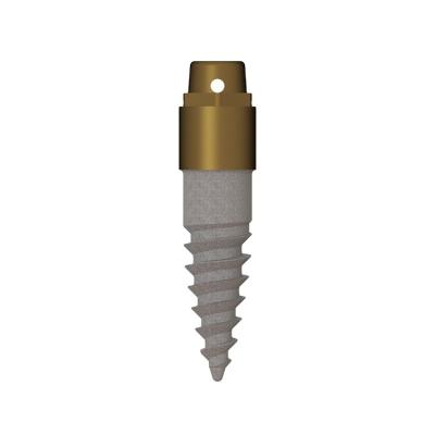 China Dental Implant Precision CNC Machining Titanium Dental Implant for sale