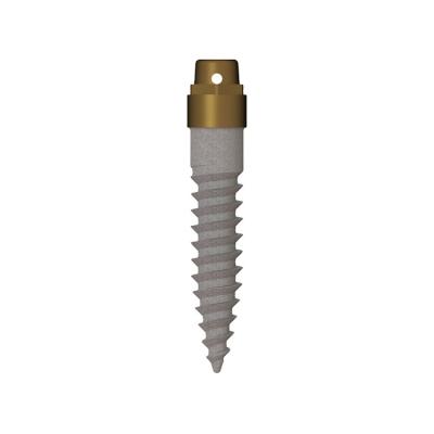 China Dental Implant Customer Dental Implant Mini Prosthesis Titanium Cnc Machining Milling Parts for sale