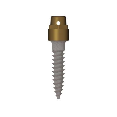 China Cheap Dental Implant 5 Axis CNC Cutting Titanium Machining Service Milling Dental Unit Multi Implant Screw for sale