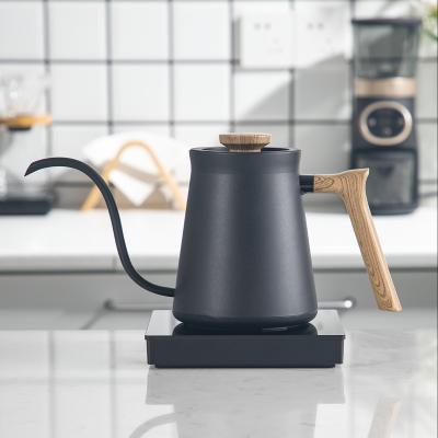 China Low Temperature Control Electric Kettle Price 304 Stainless Steel Bio-adjust Handle 600ml Pour Over Electric Coffee Kettles for sale