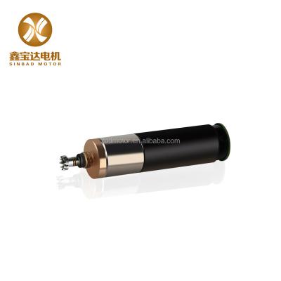 China Other Gearbox 2.37w DC Motor 12v Planetary Gear Motor Electric Toy Motor For Medical Equipment 13*31mm for sale