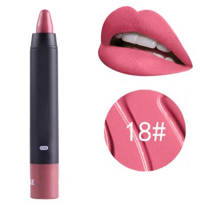 China New Matte Waterproof Nude Lipstick Customized original waterproof Logo Lipstick Matte Lipstick Tube for sale