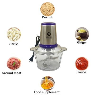 China Hot Selling High Efficiency 2L Kitchen Chopper Portable Home Electric Frozen Meat With Glass Cup For Sale for sale