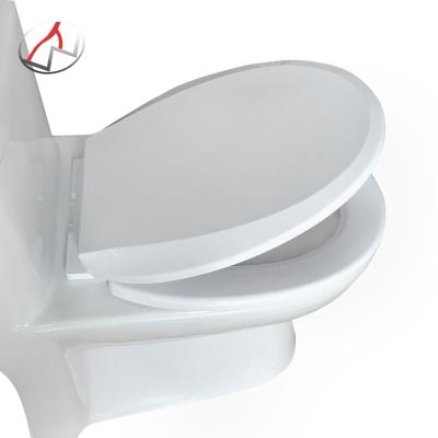 China Custom 18inch Box PP Soft Closing Soft Closing Toilet Seats OEM Color WC Toilet Seat Cover Polypropylene Round Shape European for sale