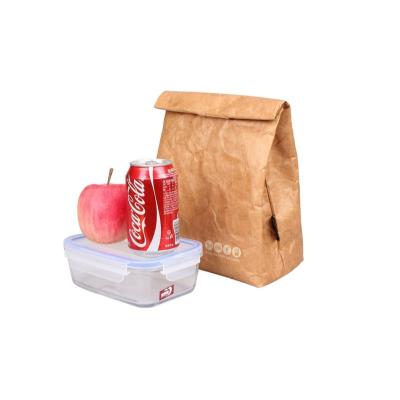 China Waterproof Super Cute Lightweight Portable Custom Insulated Lunch Cooler Biodegradable Paper Bag for sale