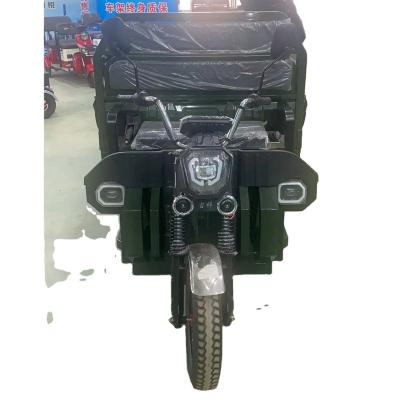 China Electric Tricycle 4 Wheel Cargo Motorcycle Tricycle/Electric Scooter Nami Burn Electric 2 Cargo Tricycle 12 Digital Transport Transport for sale