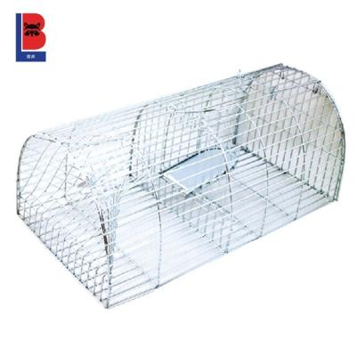 China Viable Humanitarian Hook Live Monarch Rat Trap Cage LB-02 for sale