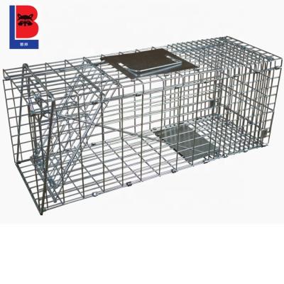 China Live Animal Possum Trap Cage Cheap Viable LB-16 for sale