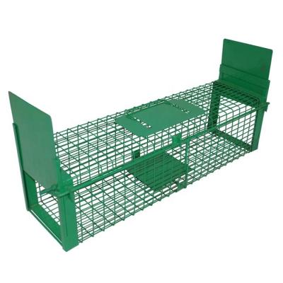 China Viable Powder Coated Live Animal Trap Cage For Humane Sales for sale