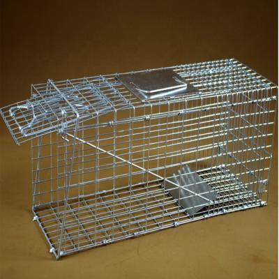 China OPOSSUM TRAP CAGE LIVE ANIMAL HOOK FERAL CAT HOOK RABBIT HUMANITARIAN RATS for sale