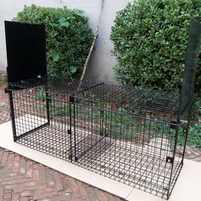 China Metal Viable Animal Trap Heavy Duty Folding Fox Cage Trap Double Door Entry/Boar/Dog Folding Fox Trap Cage for sale