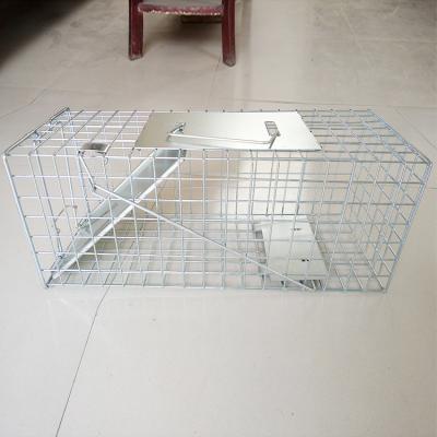 China Viable Pest Control Galvanized Humane Metal Live Animal Catcher Mouse Rat Cage Trap for sale