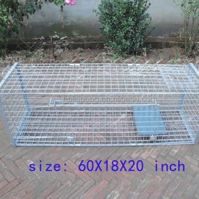 China Liebang Live Animal Cage Traps For Large Animal Pest Control Fox Boar Cage Humanitarian Viable Hunting Animal Trap for sale