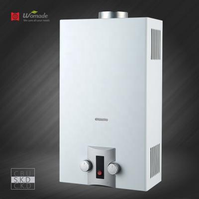 China 2021 New Model Easy Installation Wall Mounted With Decoration Panel Strong Design Gas Water Heater Wall Mounted Gas Water Heaters for sale