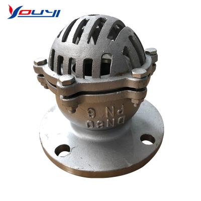 China General Stainless Steel PN16 Water Pump Flanged Bottom Valve Foot Valve for sale