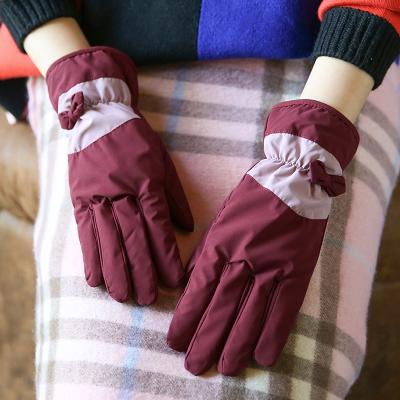 China Warm Autumn Women Girls Cotton Hand Gloves Winter Coldproof Women Gloves For Motorcycle Driving Riding Recycling Ladies Bike Gloves for sale