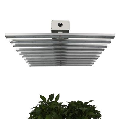 China Seed Seeding 1000W LED Plant Grow Light Full Spectrum White Light Color For Vegetation Growth for sale