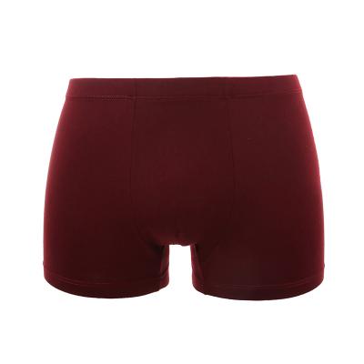 China New antibacterial antibacterial style! Modal Mens Boxer Tights Mens Mid Waist Breathable Underwear No Fly for sale