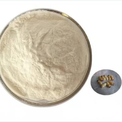 China Wholesale Health Care High Purity Lyophilized Protein Freeze Dried Natural Bee Bumblebee Pupae Powder for sale