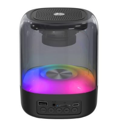 China RGB LED Light Factory Price Outdoor Fitness Speaker OEM ODM 2022 Blue Tooth Connected Speaker for sale