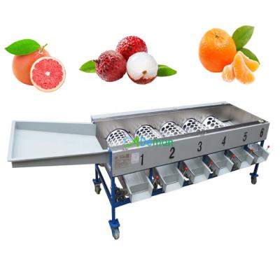 China Fruit Processing Plant No Damage Grapefruit Plums Splitter Grader Melon and Citrus Fruit Sorter Sorter for sale