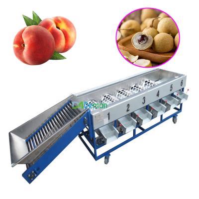 China Fruit Processing Plant Passiflora Grader Longan Grader Cashew Hawthorn Grader Grading Machine for sale