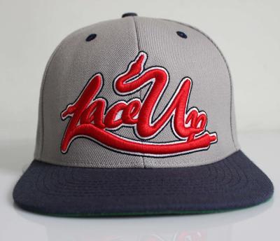 China COMMON Wholesale High Quality Cheap Custom 3d Embroidery Snapback Hat And Snap Hat for sale