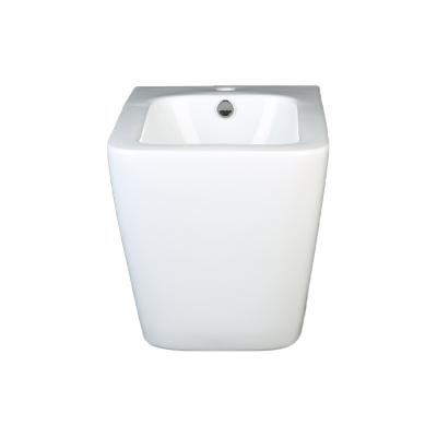 China Modern Western Bathroom Holder Ceramic Wall Hung Bidet for sale