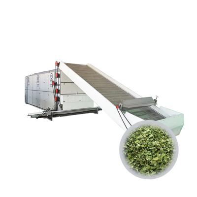 China Low Energy High Efficiency Mesh Belt Dryer Hot Air Jujube Drying Machine CBG Continuous Hemp Dryer Machine Cbd Oil Hemp Dryer for sale