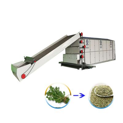 China Low Energy High Efficiency Mesh Belt Dryer Hemp Sheller Machine Thyme Conveyor Belt Continuous Type Vegetable Dryer for sale