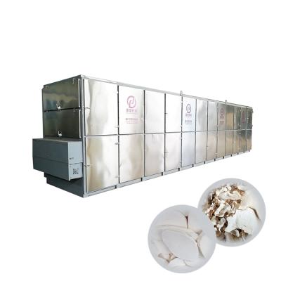 China Belt Dryer Good Low Energy High Efficiency Mesh Belt Dryer Cassava Chips Belt Dryer Dryer Drying Hazelnut Cassava Mesh Belt Dryer for sale