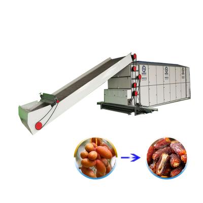 China Low Energy High Efficiency Mesh Belt Dryer Pet Food Machine Corn Dryer For Sale Dates Dryer for sale