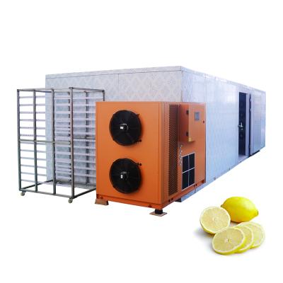 China Hot Selling Seafood 304 Stainless Steel Pitaya Dryer Heat Pump Dryer Coconut Vegetable Drying Machine for sale