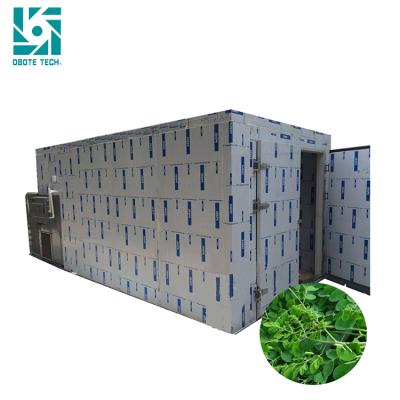 China Industrial Energy Saving Seafood Stainless Steel Heat Pump Fruit Dryer Dragon Fruit Dehydrator Dryer Machine for sale