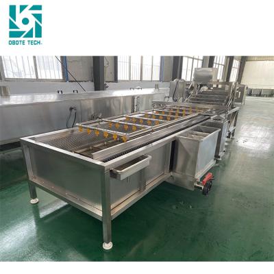 China Easy Operation Prickly Pear Preserved Pig Tripe Plum Vegetable Washing Machine for sale