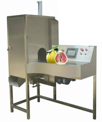 China food & Beverage Factory Grapefruit Peeler Jackfruit Peeling Machine Coconut Peeling Equipment for sale